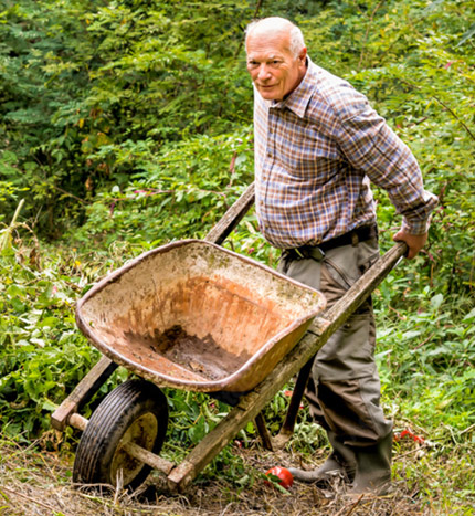 Man in Garden